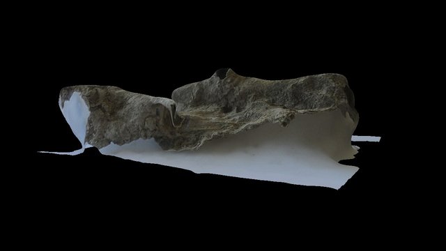 Tufa Twig Cast 3D Model