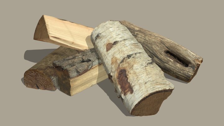 Dry Firewood 3D Model