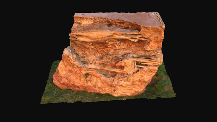 Bloque kárstico sobre caliza 3D Model