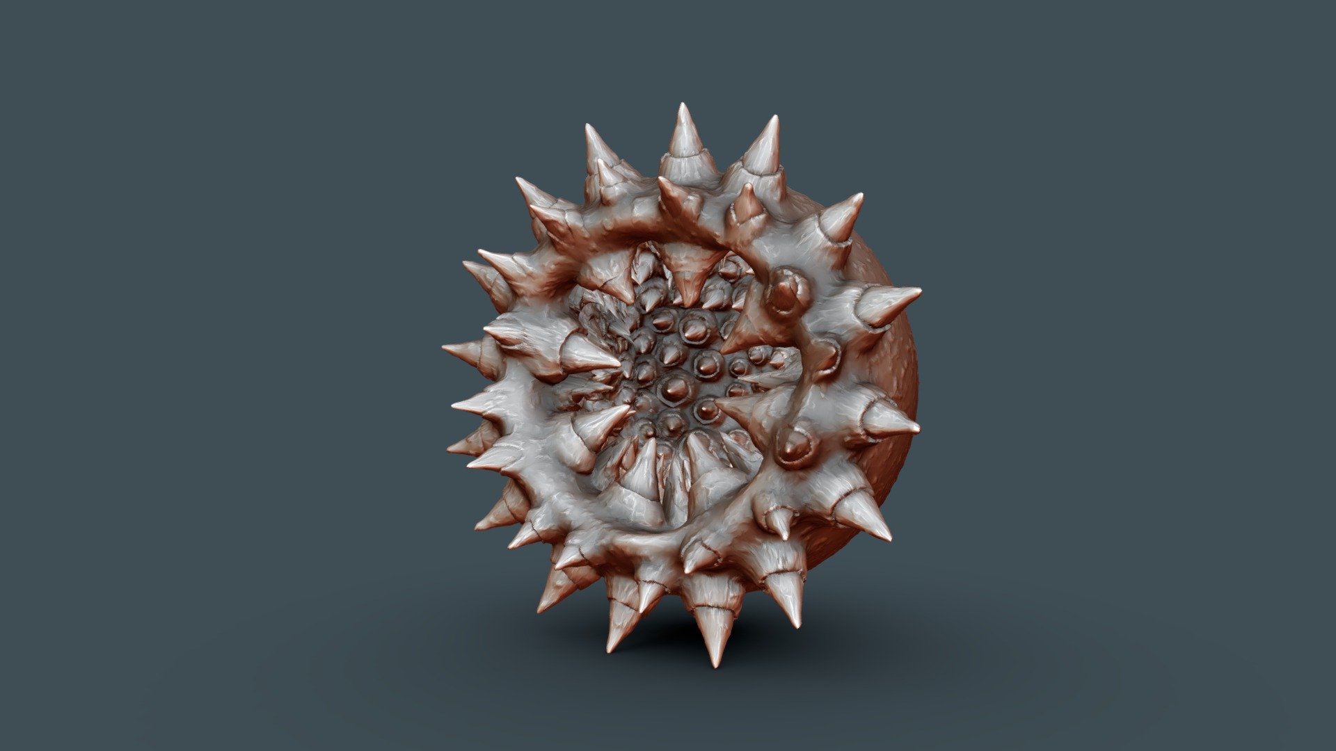 Sphere Study03