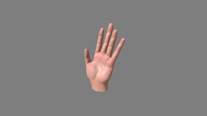 Hand Practice 3D Model