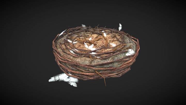 Bird's Nest 3D Model