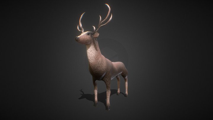 Deer 3D Model