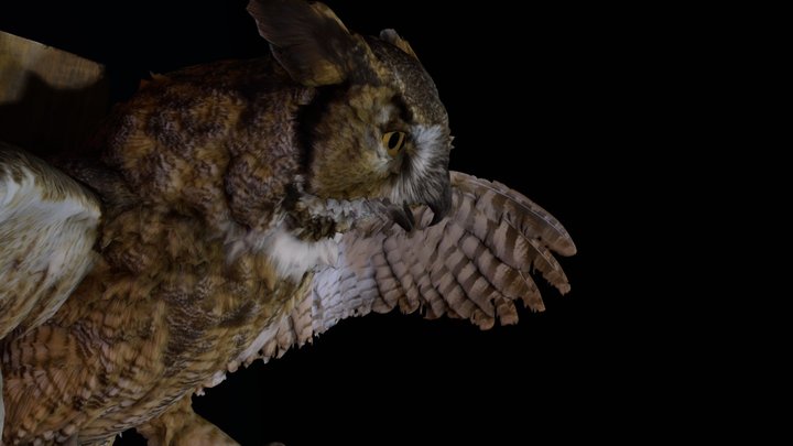 It Came In The Night 3D Model