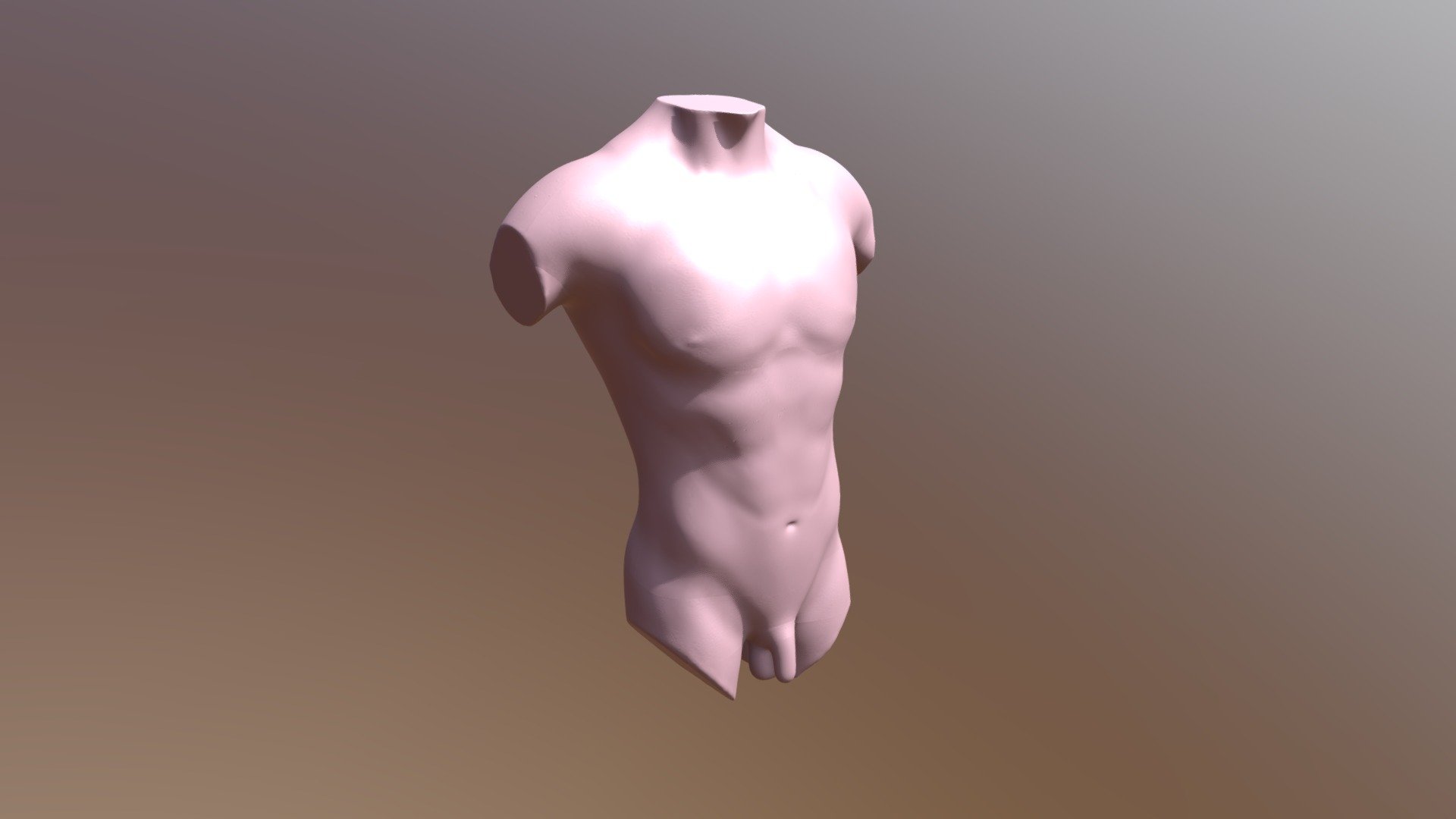 Torso yoli