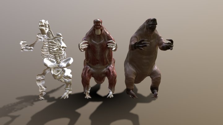 Megatherium Americanum Reconstruction 3D Model