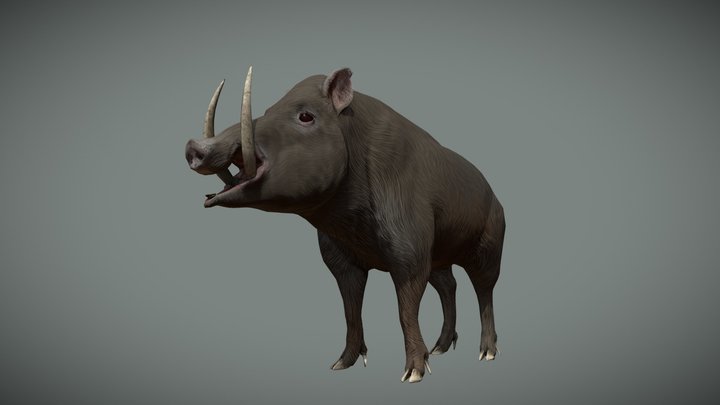 Medieval Wild Boar 3D Model