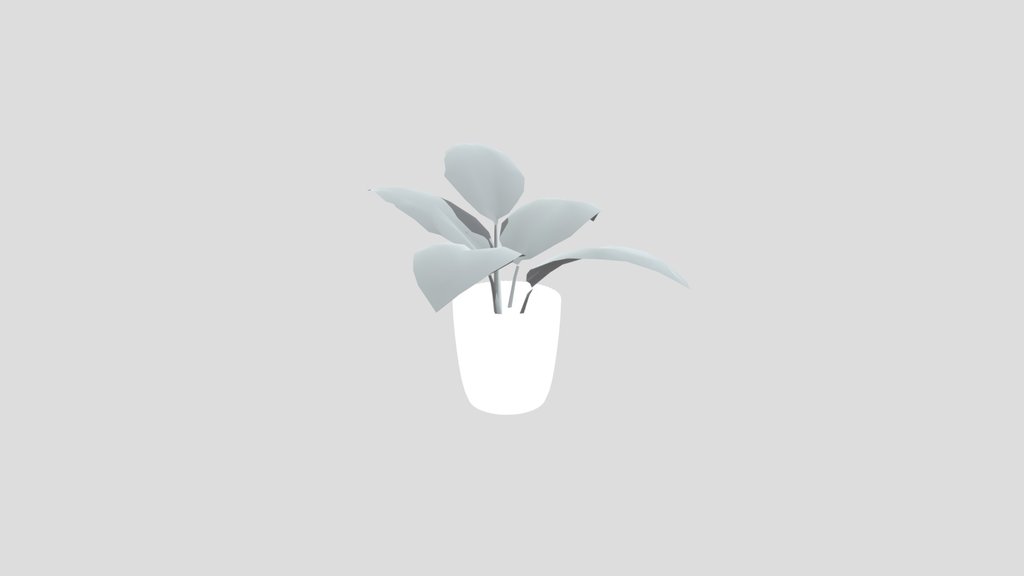 Broadleaf Lilly Potted Small