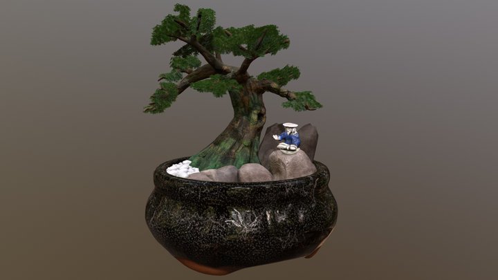 Bonsai Tree 3D Model
