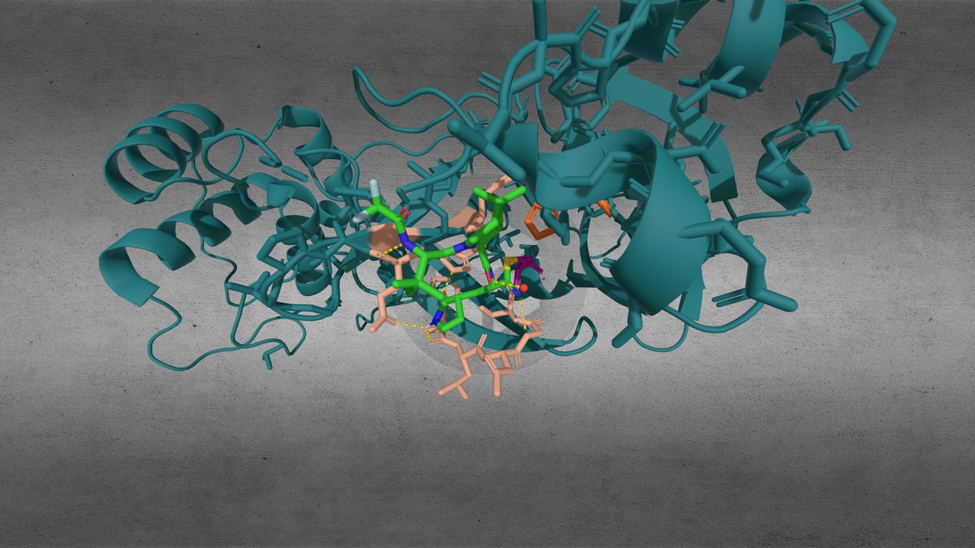 Nirmatrelvir acting on SARS-CoV-2 Main Protease