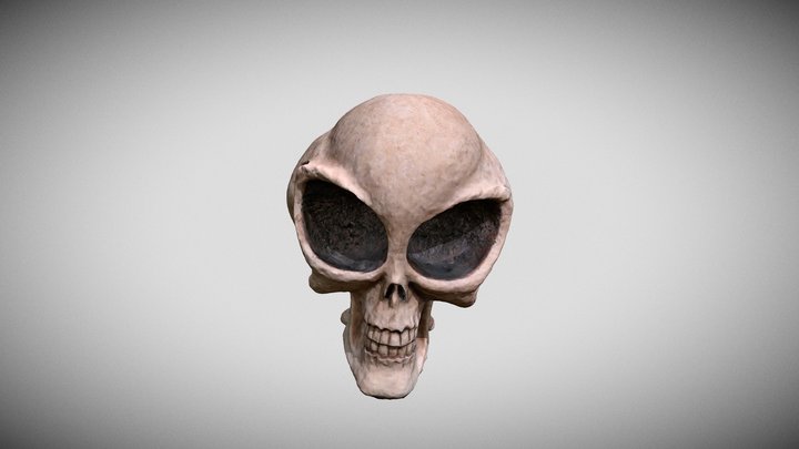 Alien Skull 3D Model