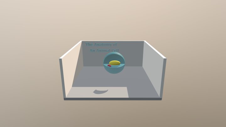 Animal Cell (1) 3D Model