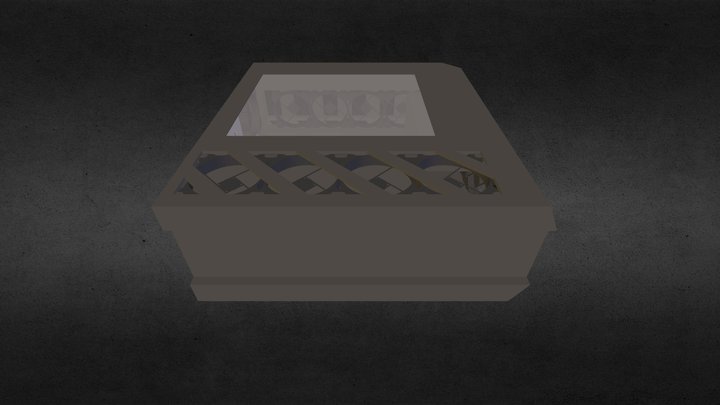Case Wip V5 3D Model