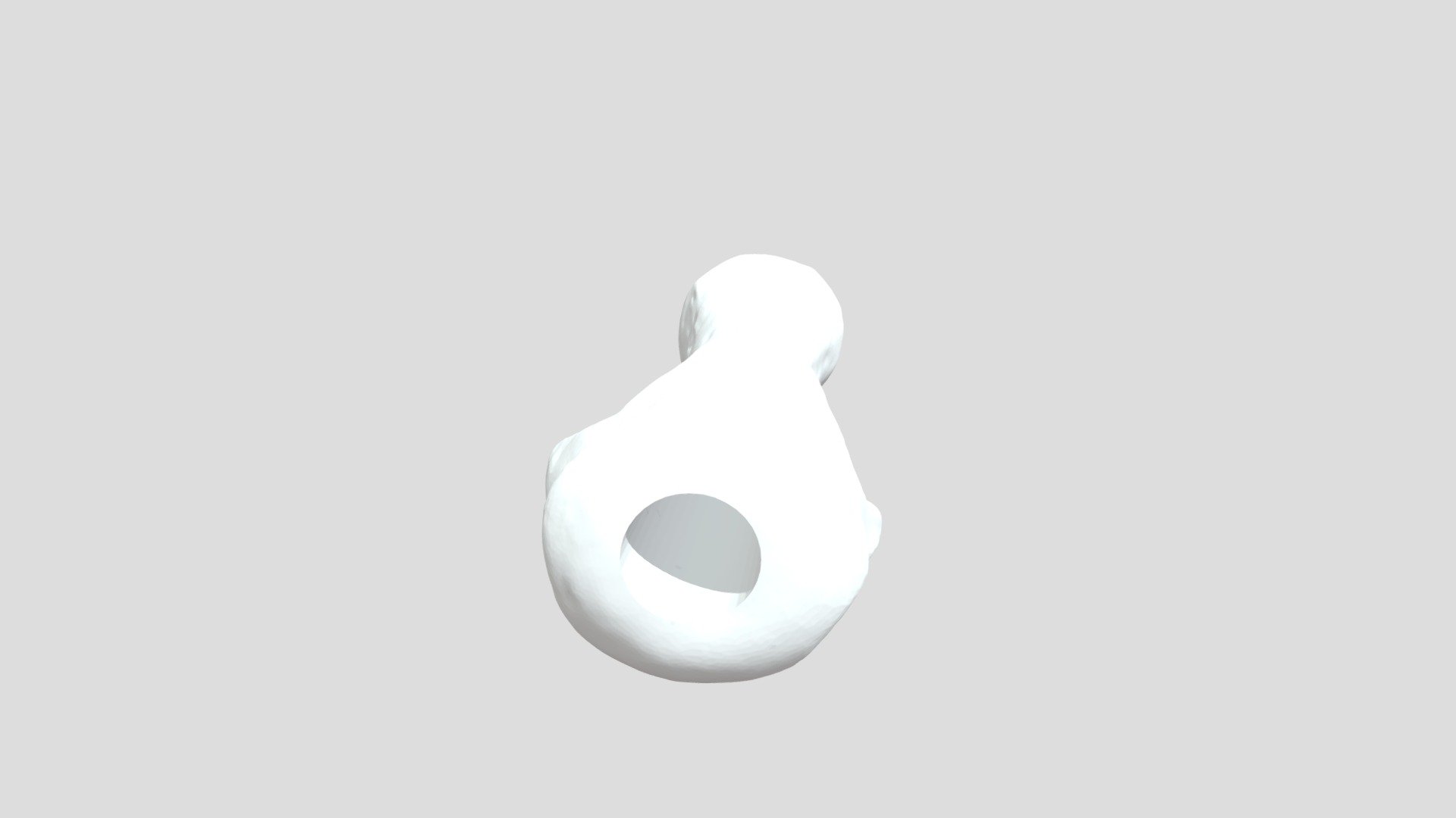 Caudal vertebra of lion - 3D model by sabrina.lobrutto [02175f4 ...