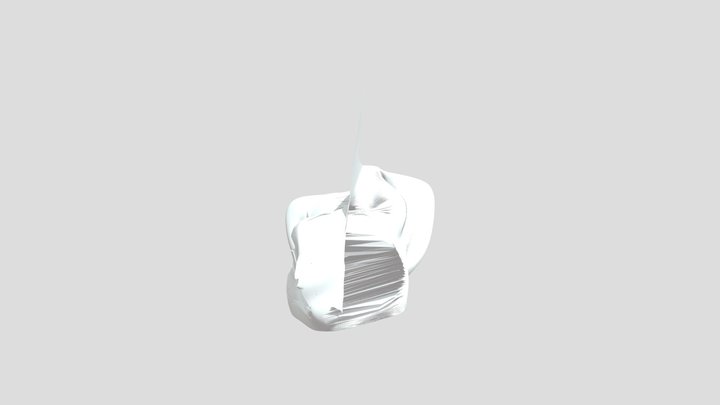 My model 3D Model