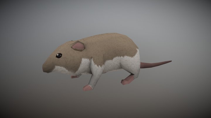 Olive-Backed Pocket Mouse "Parliament" 3D Model