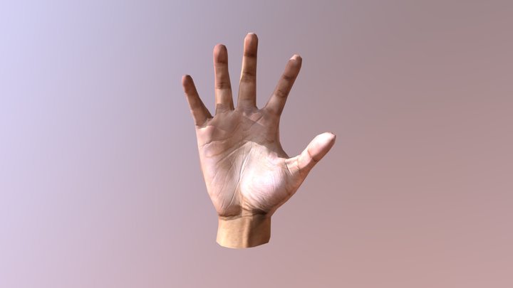 Hand 3D Model