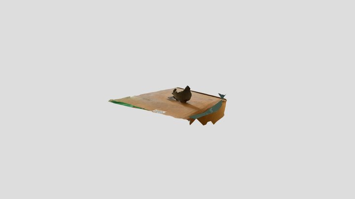 Fold 3D Model