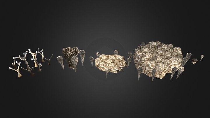 Pale Voronoi Coral – Free 3D Model STL