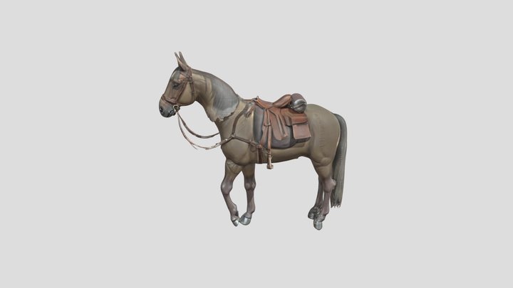 Steadfast Companion