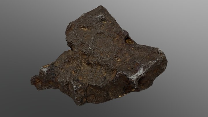 Abrams Planetarium Edmore Meteorite 3D Model