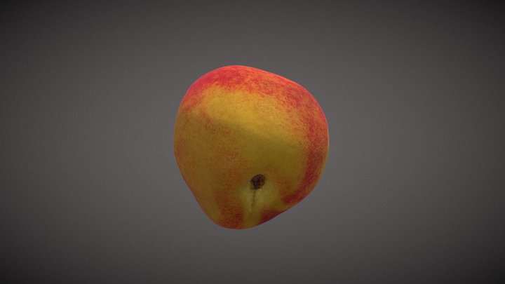 momo 3D Model