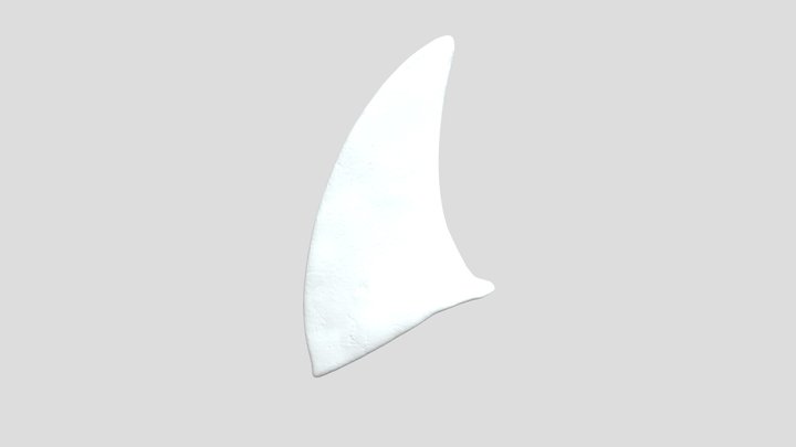 Shark Fin 3D Model