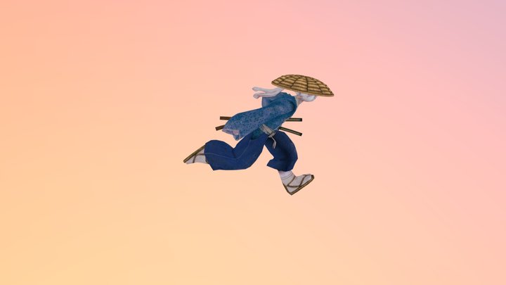 Usagi Run 3D Model