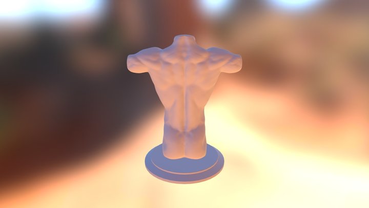 Muscular Torso Study 3D Model