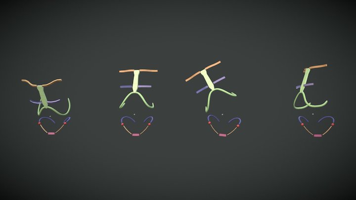 Abdominal Articulation | Schematic Practices 3D Model