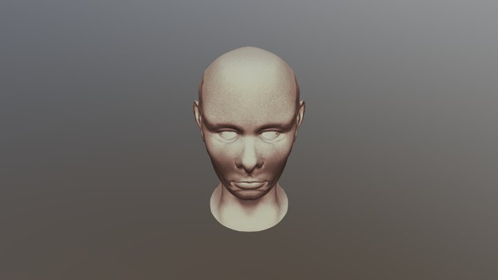 ROSTRO HERMOSO MUJER 3D Model