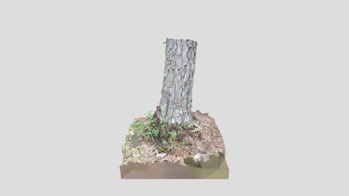 Tree stump - Raven Rock 3D Model