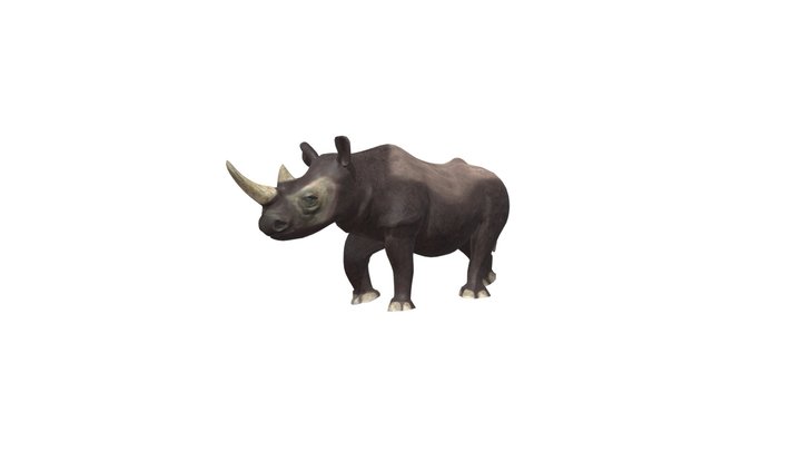 Носорог 3D Model