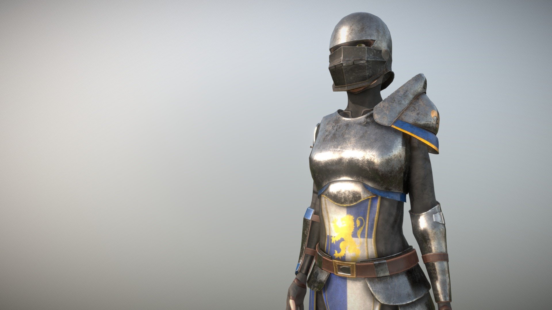  Female Armor