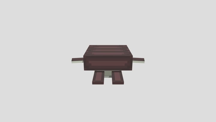 Brown Turtle 3D Model