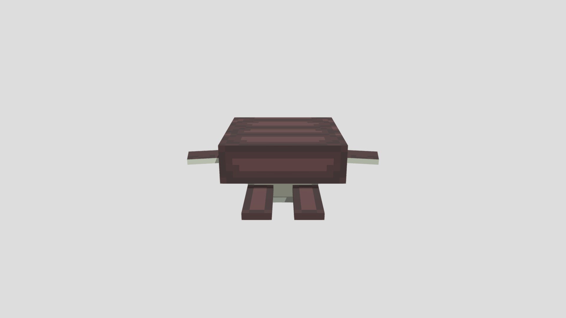 Brown Turtle