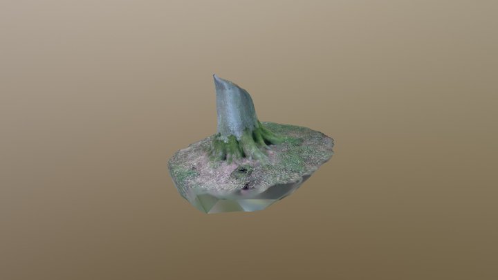 3DCreator_20180719_171210_obj 3D Model