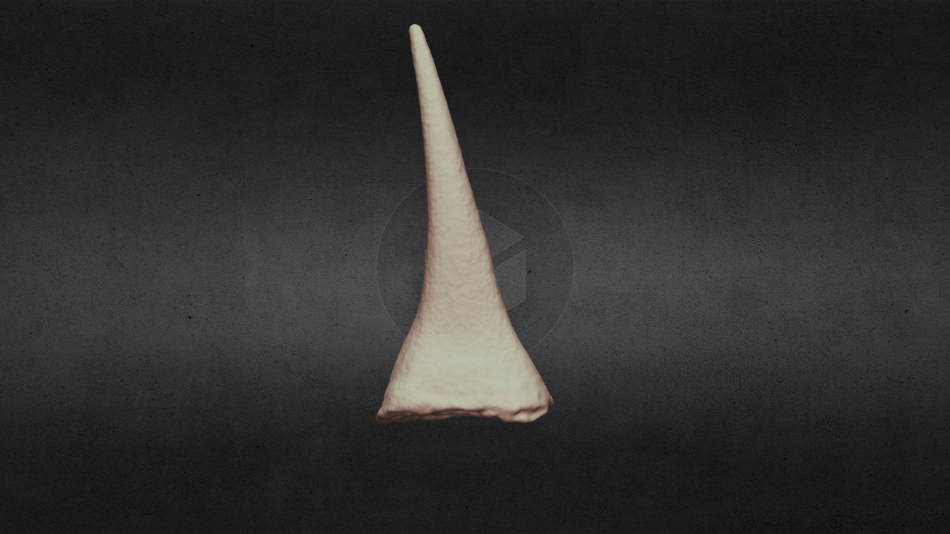 thorn