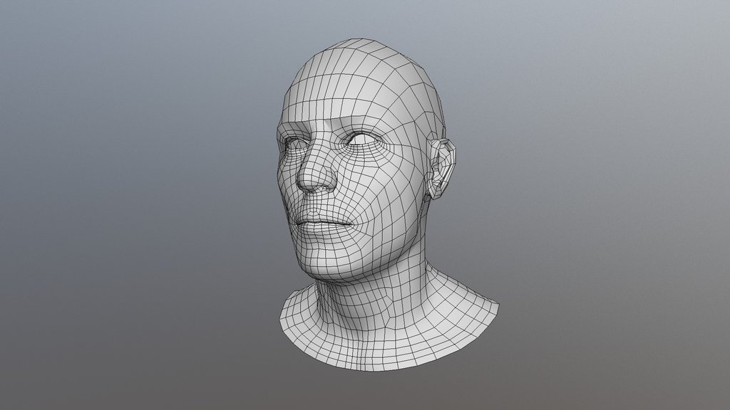 Голова 3d модель. Planar head 3d модель. Asaro head 3d model. Low Poly голова. Low Poly сетка.