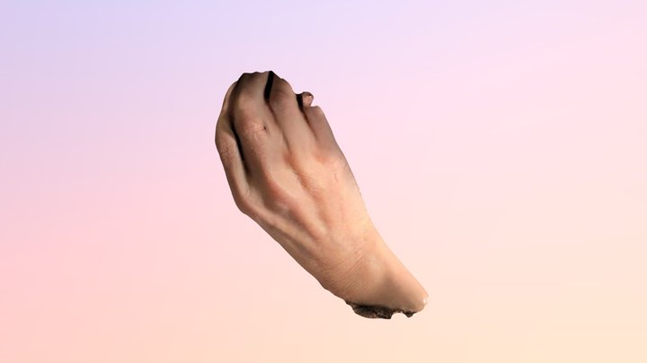 Hand 3D Model