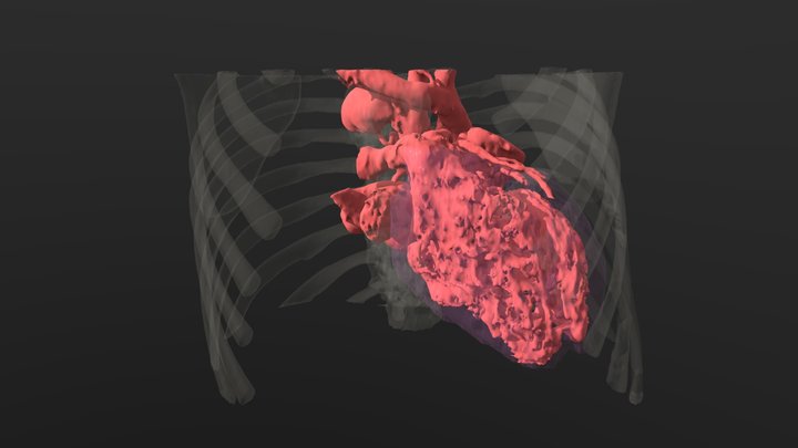 0725cotm 3D Model