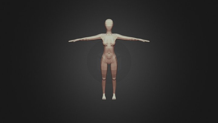 Basemodel 3D Model