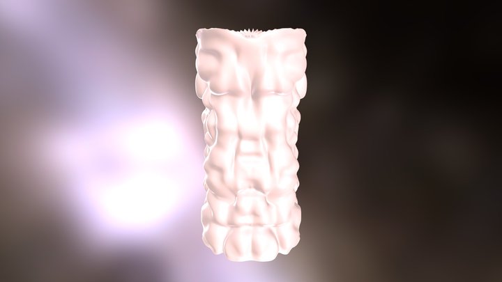 Weird Column 3D Model