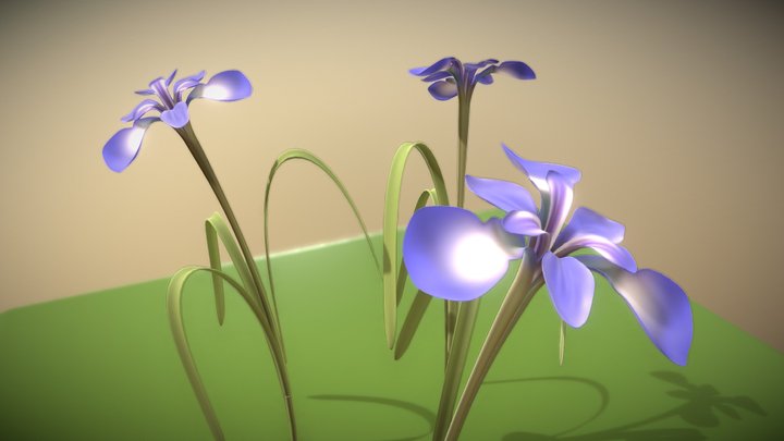 Iris Flower (High-Poly with Vertex Color) 3D Model