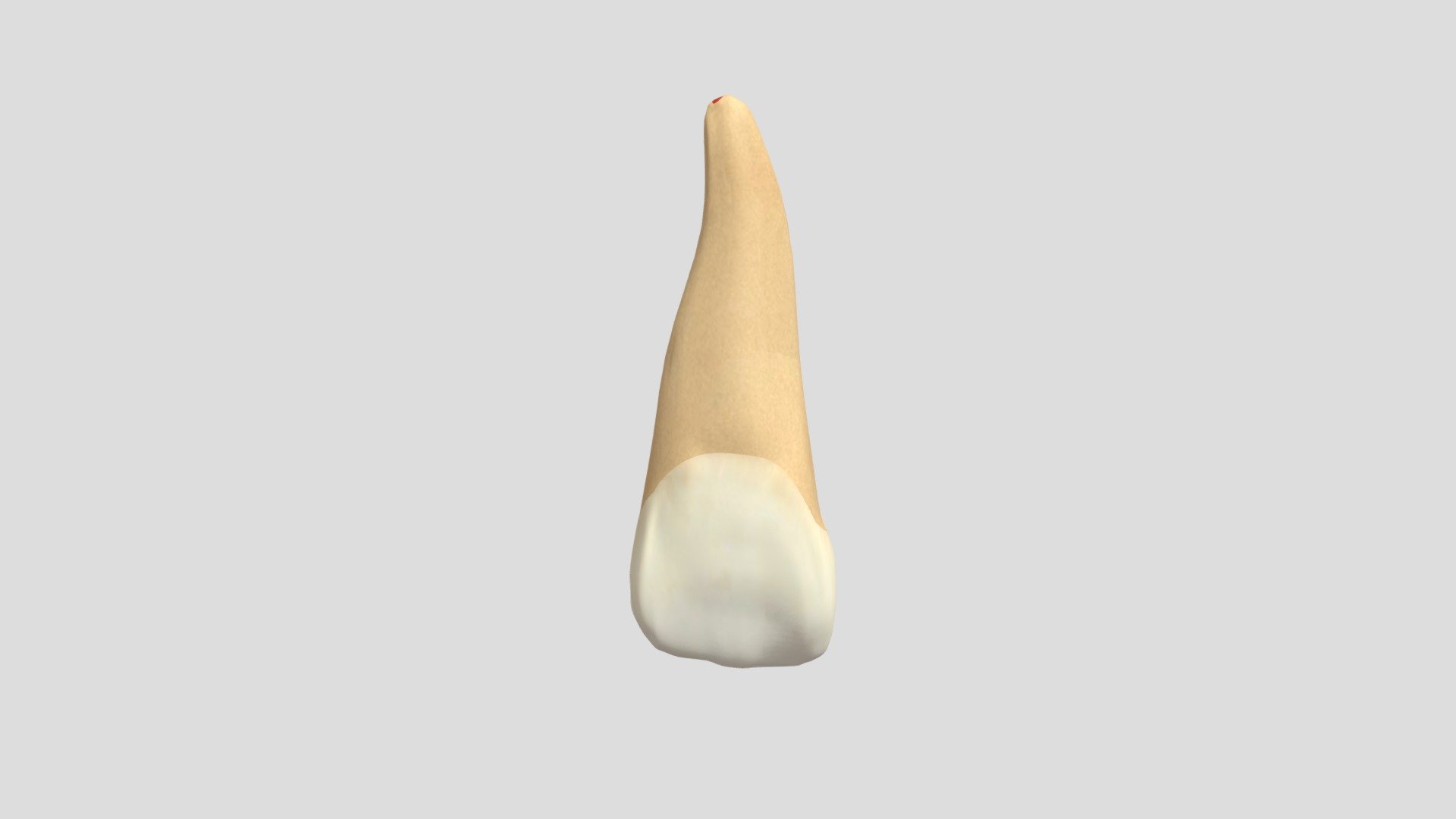 2021 - 11 — Sketchfab embed 3D viewer