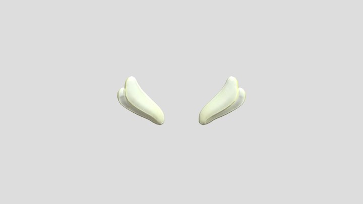 Wings Model 3D Model