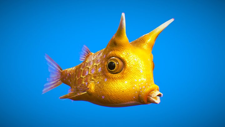 Fish Lactoria cornuta Lowpoly 3D Model