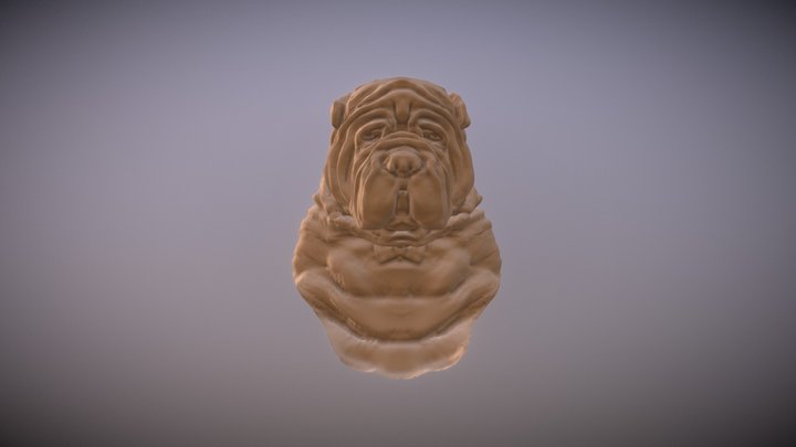 Dog Modeling 3D WIP 3D Model