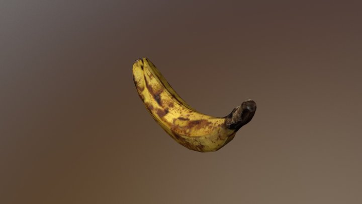 Brown Banana Model 3D Model