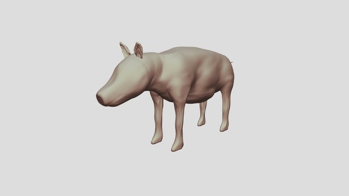 pig 3D Model